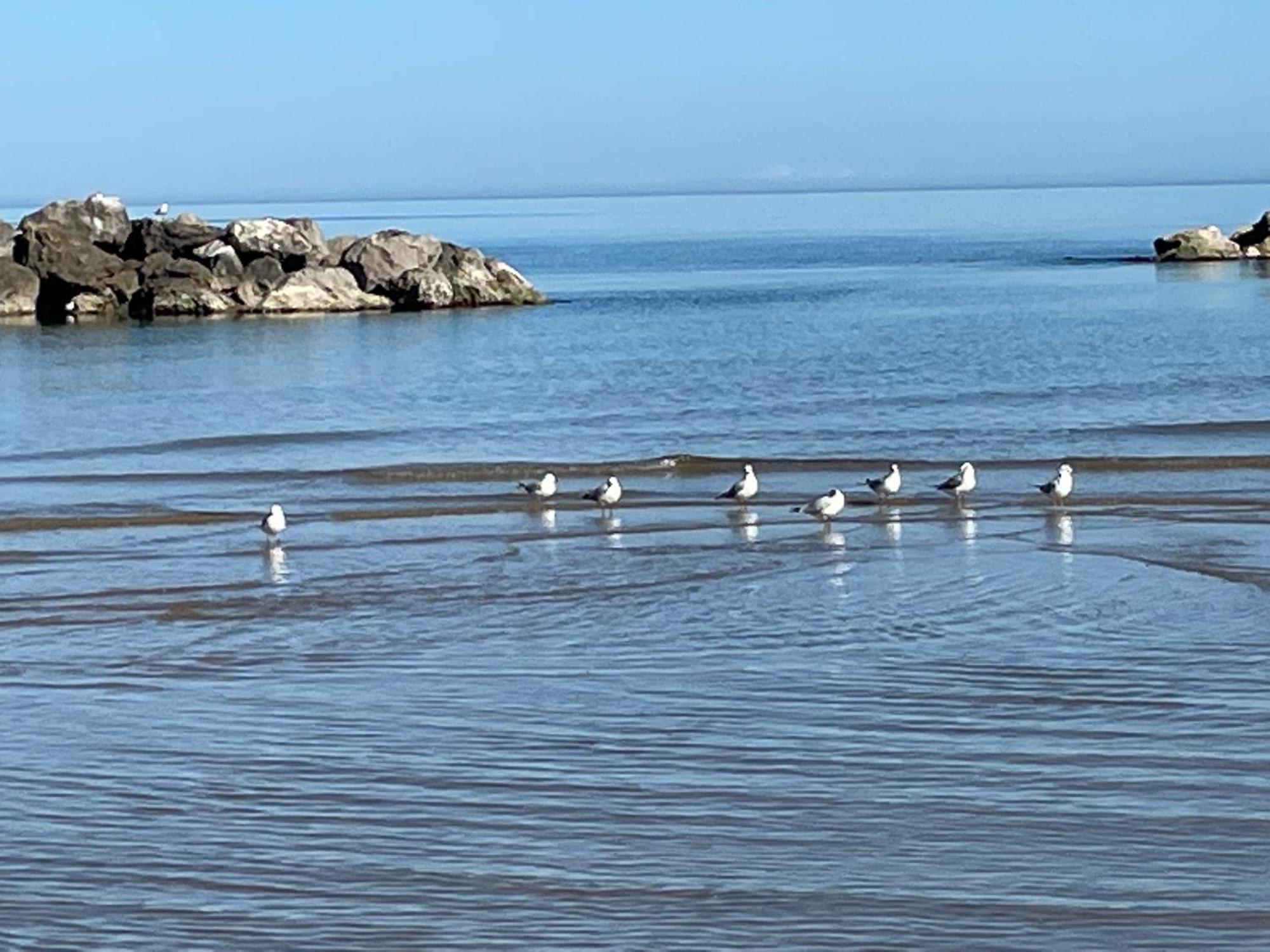Appartamento La casa di Morgana in centro e vicino al mare Pescara Esterno foto